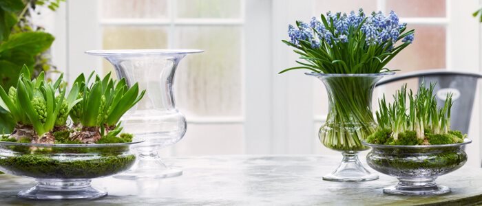 Blomster på havebord