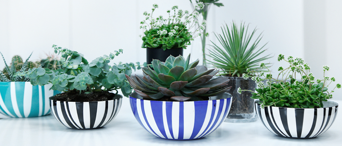 Cathrineholm Stripes Collection skåle