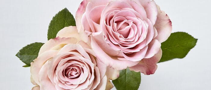 Blomster