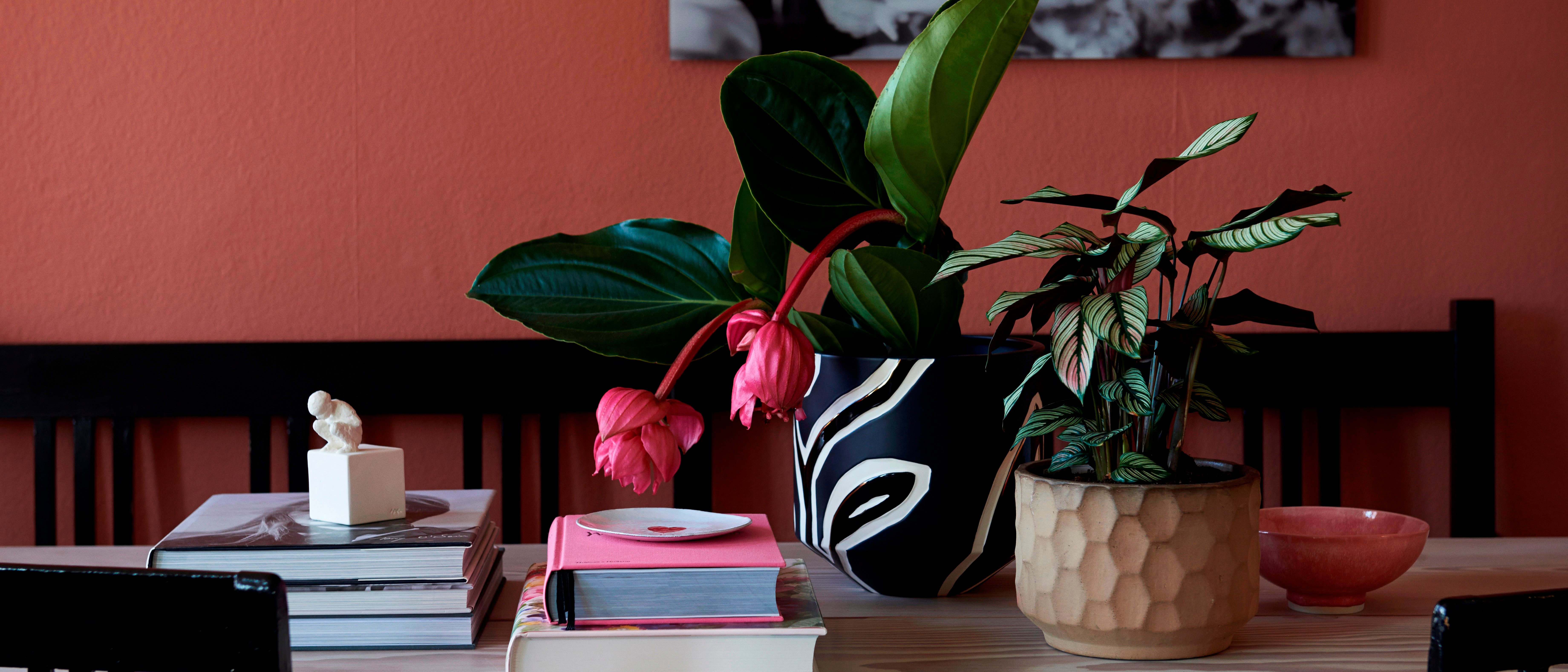 Indret med planter