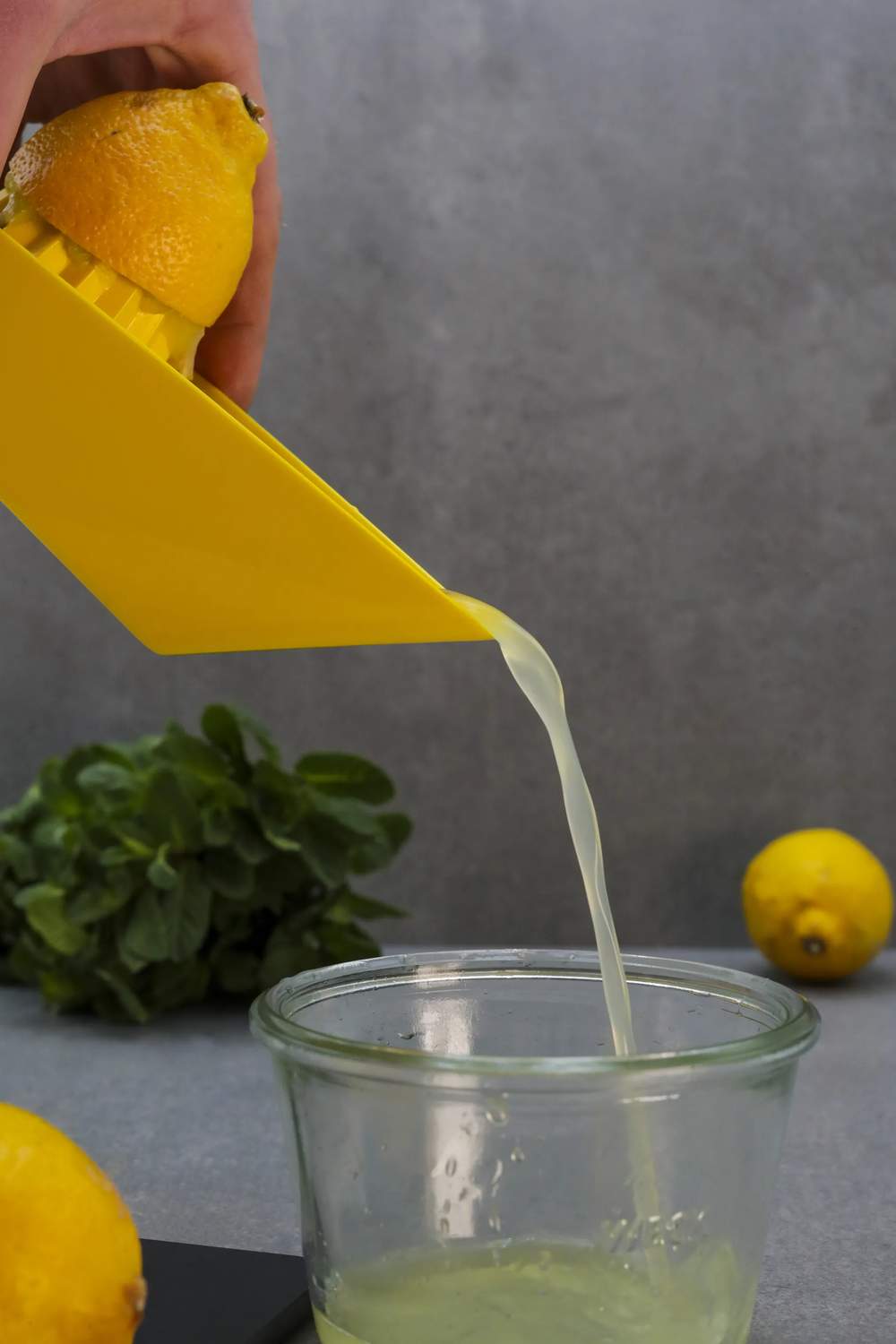 Citruspresser, gul, large