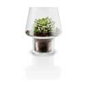 Eva Solo Vaser Sukkulent Vase i Klar, 18,3 cm, 1