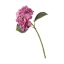 CASA Living Kunstige blomster Kunstig Blomst - Hortensiagren i pink, 35 cm, 1