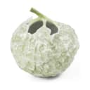 Royal Copenhagen Vaser Art of Giving Flowers Hortensia Vase i Grøn, 10, 1