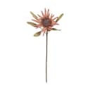 Bloomingville Kunstige blomster Kunstig blomst - Protea stilk i Lyserød, 1