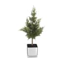 Casa Christmas Kunstige blomster Kunstigt Thuja-træ i Grøn, 1