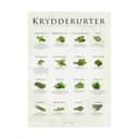 Poster&Frame Plakater plakat - Krydderurter i B30 x L40 cm, 1