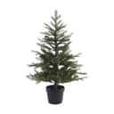 Casa Christmas Juletræer Grandis Fir Kunstigt Grandis Juletræ i Potte i 120 cm, 1