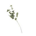 CASA Living Kunstige blomster Kunstig Gren - Eukalyptusgren i 98 cm, 1