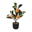 CASA Living Kunstige blomster Kunstig Appelsintræ i Grøn/orange, 1