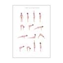 Poster&Frame Plakater plakat - Sun salutation a man i Beige, B50 x L70 cm, 1
