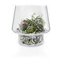 Eva Solo Vaser Sukkulent Vase i Klar, 20,7 cm, 1
