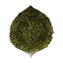 Costa Nova Serveringsfade Riviera Asiet - Hortensiablad i mørkegrøn/sort, 21,4 cm, 1