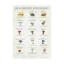 Poster&Frame Plakater plakat - De 15 bedste spisesvampe i B50 x L70 cm, 1