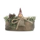 Klarborg Jule- og adventsstager Nisserik Kalenderstage - Stubbe i Brun, 10 cm, 1