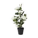 CASA Living Kunstige blomster Kunstig Blomst - Rose I Potte i Hvid, 1