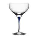 Orrefors Champagneglas Intermezzo Blue Champagneglas i Klar, 15,3 cm, 1