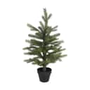 Casa Christmas Juletræer Grandis Fir Kunstigt Juletræ i potte i Grøn, 1