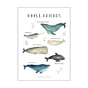 Poster&Frame Plakater Plakat - Whale Friends i B50 x L70 cm, 1