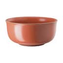 Rosenthal Skåle Thomas Nature Skål i Orange, 1