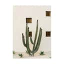Poster&Frame Plakater Plakat - Cabo cactus i B21 x L29,7 cm, 1