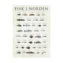 Poster&Frame Plakater plakat - Fisk i Norden i B50 x L70 cm, 1