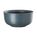 Rosenthal Skåle Thomas Nature Skål i Ocean, 1