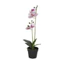 CASA Living Kunstige blomster Kunstig Blomst - Orkide i Hvid/pink, 1