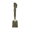 57 North Stjernetegnsfigurer Stjernetegnsfigur - Vandmanden i Vandmanden, 1
