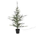 Nordic Winter Juletræer Pynte træ i Grøn, 1