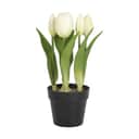 CASA Living Kunstige blomster Kunstig tulipan i hvid, 1