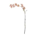 Bloomingville Kunstige blomster Kunstig blomst - Wild cherry stilk i Lyserød, 1