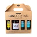Knaplund Spiritus Ready To Mix Gincocktail Bramble - 4 dele i Bramble - 850 ml, 1