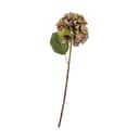 CASA Living Kunstige blomster Kunstig Blomst - Hortensia i Tørret grøn/lilla, 1