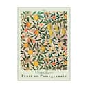 Poster&Frame Plakater Plakat - Pomegranate i Multifarvet, B30 x L40 cm, 1
