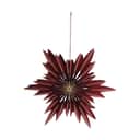 Casa Christmas Øvrigt julepynt Stjerne i Bordeaux/guld, 30 cm, 1