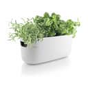 Eva Solo Plantekrukker Selvvandende Herb Organiser i White, B13 x L31 cm, 1