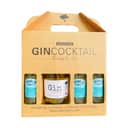 Knaplund Spiritus Ready To Mix Gincocktail Mango Smash - 4 dele i Mango Smash - 1,1 liter, 1