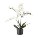 Bloomingville Øvrigt interiør Kunstig Plante - Orchid i Grøn, 1