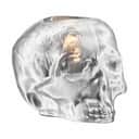 Kosta Boda Fyrfadsstage Still Life Skull Lysestage i Sølvfarvet, 8,5 cm, 1