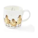 Royal Worcester Krus og kopper med hank Wrendale Krus - Just Hatched i Kyllinger, 1