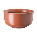 Rosenthal Skåle Thomas Nature Müsli Skål i Orange, 13 cm, 1