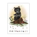 Poster&Frame Plakater Plakat - Blåbærbjørn i B50 x L70 cm, 1