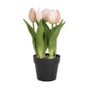 CASA Living Kunstige blomster Kunstig tulipan i rosa, 1