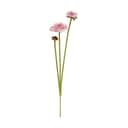 Speedtsberg Kunstige blomster Kunstig Blomst - Tusindfryd i Rosa, 1