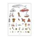 Poster&Frame Plakater Plakat - Boys i B29,7 x L42 cm, 1