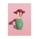 Poster&Frame Plakater plakat - Plunger bouquet i B50 x L70 cm, 1