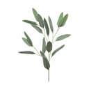 CASA Living Kunstige blomster Kunstig Blomst - Eucalyptus i grøn, 1