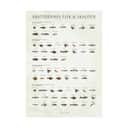 Poster&Frame Plakater plakat - Årstidernes fisk og skaldyr i B30 x L40 cm, 1