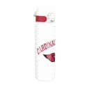 Ion8 Drikkedunke NFL Drikkeflaske - Arizona Cardinals i Arizona Cardinals, 1
